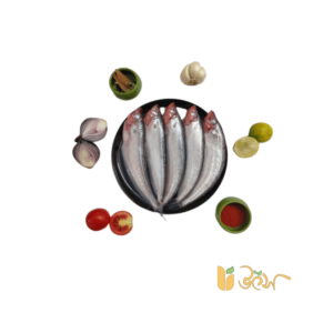 Fresh Pabda fish Pabda Mach) collected from Bangladesh river