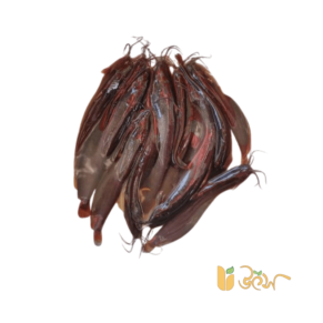 Local Deshi Shing fish ready to cook