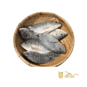 Fresh Tilapia fish for Bengali cooking